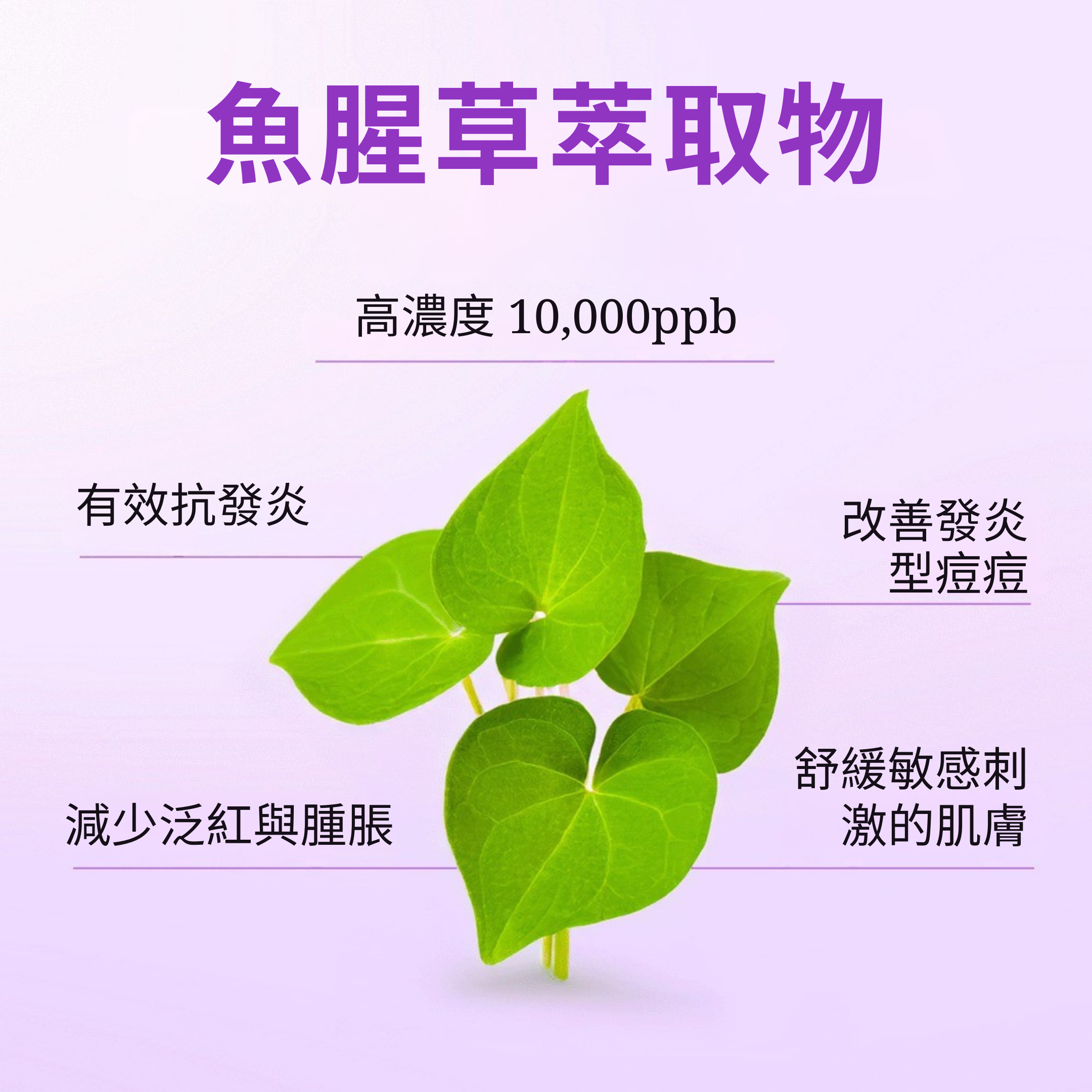 SEYOUL卸妆油 – 200ml